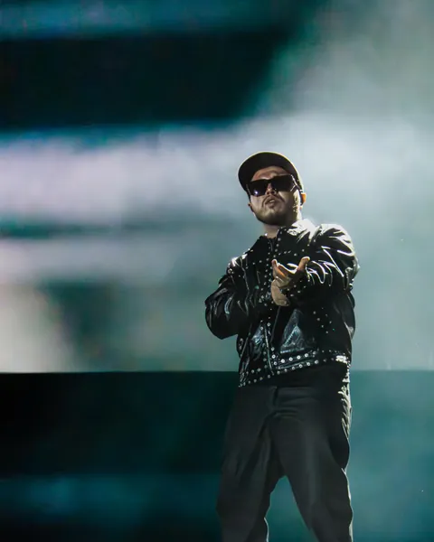 Hamza au Paléo Festival 2025 à Nyon, photo 6 sur 20