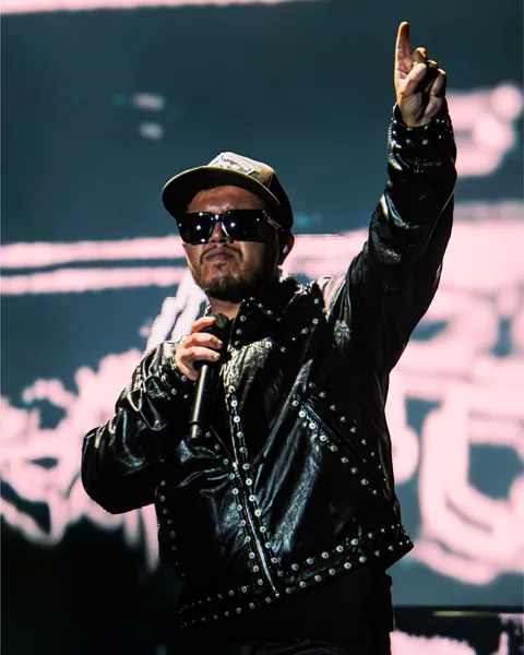 Hamza au Paléo Festival 2025 à Nyon, photo 7 sur 20