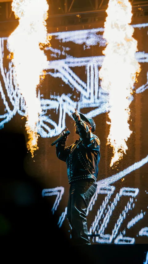 Hamza au Paléo Festival 2025 à Nyon, photo 9 sur 20