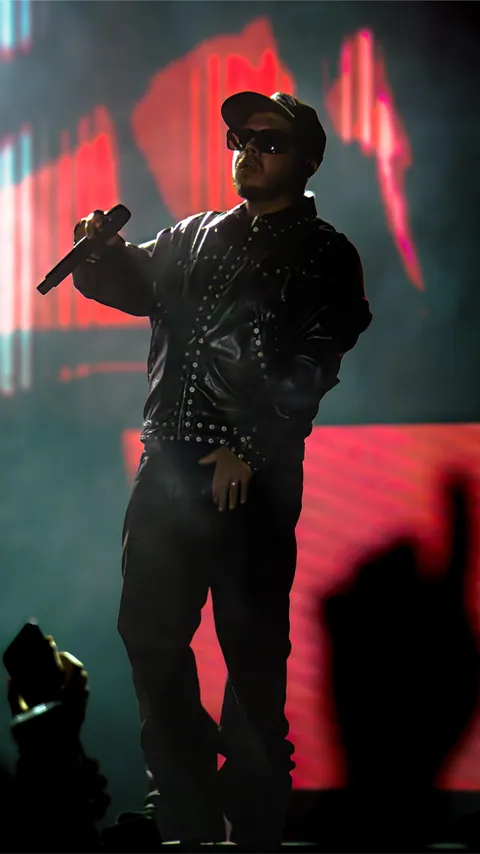 Hamza au Paléo Festival 2025 à Nyon, photo 12 sur 20