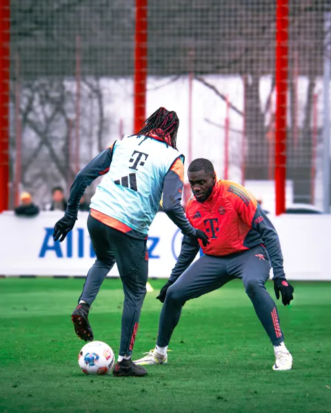 Entraînement du Bayern Munich à la Säbener Strasse – photo 28 sur 54