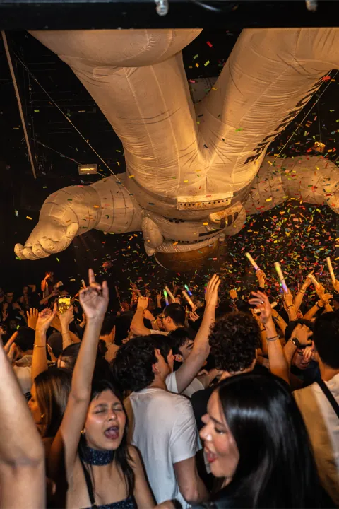 Soirée au D! Club à Lausanne, silhouettes sous les stroboscopes (photo 46)
